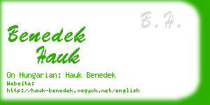 benedek hauk business card